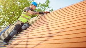 Best Roof Moss and Algae Removal  in Hermann, MO
